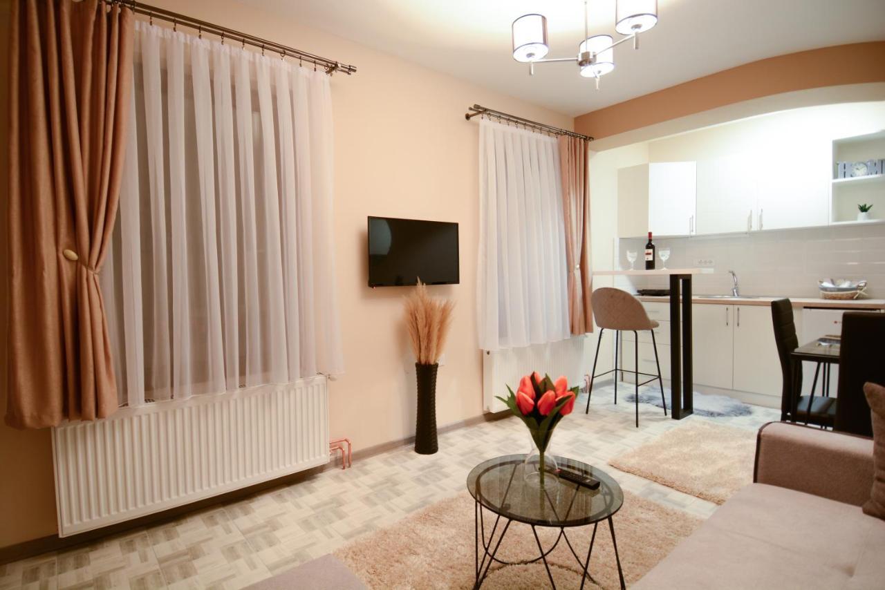 Апартаменти Apartman Savic Баїна-Башта Екстер'єр фото